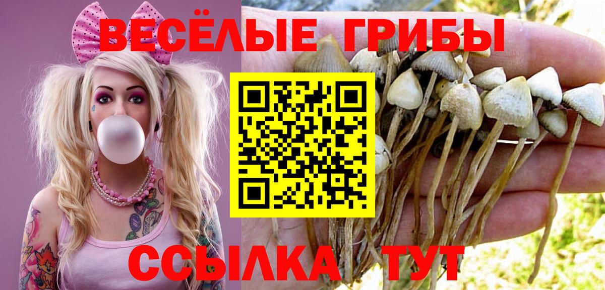 Галлюциногенные грибы GOLDEN TEACHER Калининград